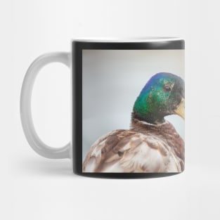 Mallard Male Mug